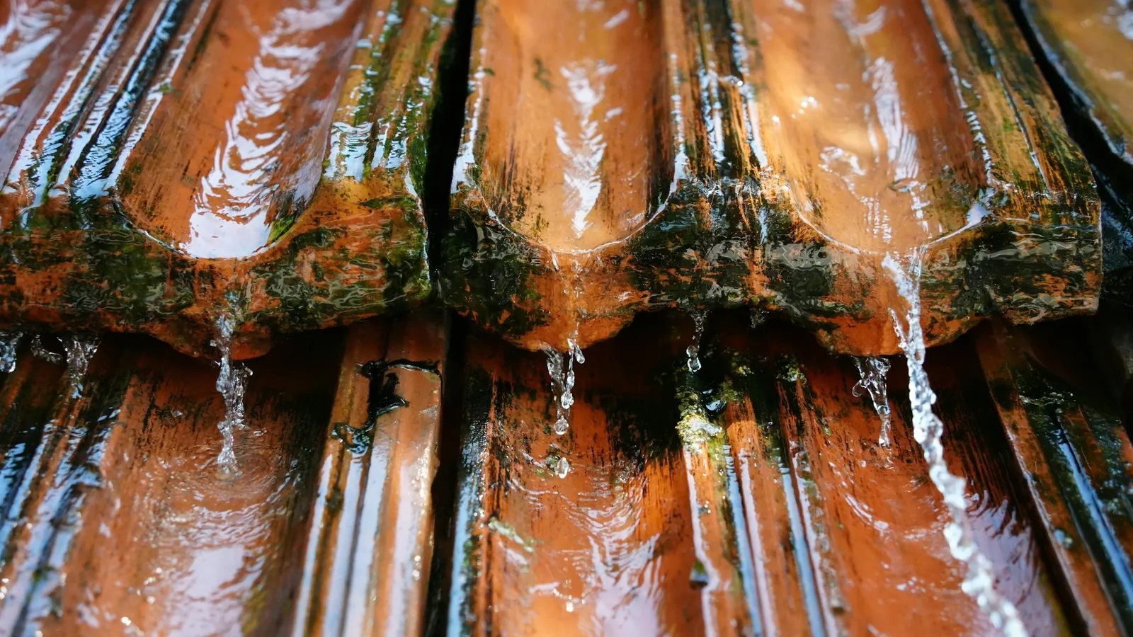 Eau de pluie qui ruisselle sur des tuiles canal